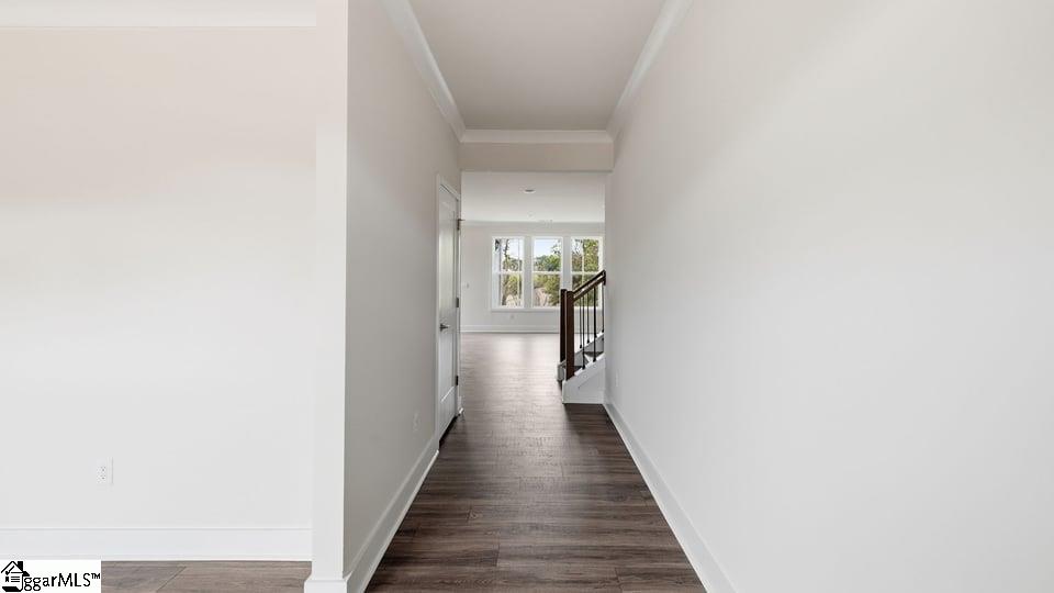 1228 Rarity Street Property Photo 5
