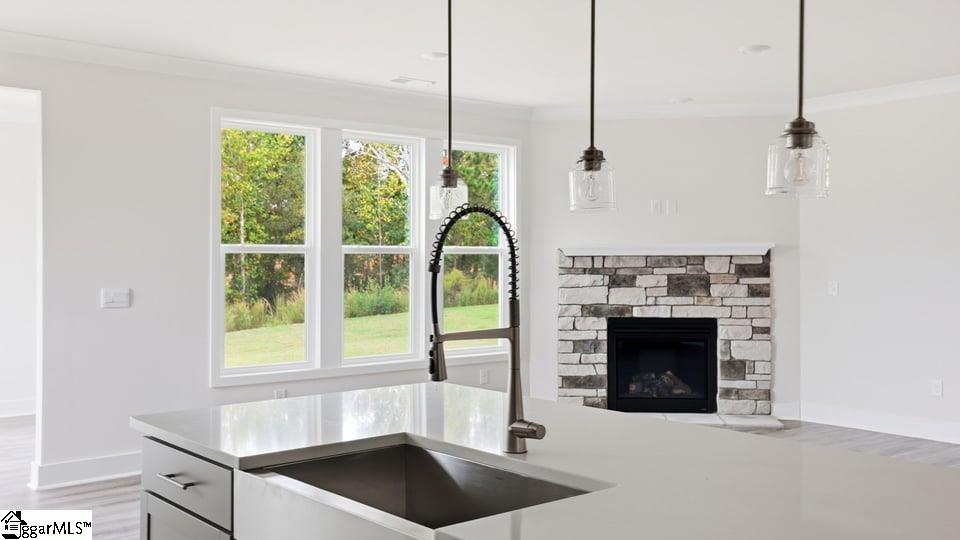 1228 Rarity Street Property Photo 15