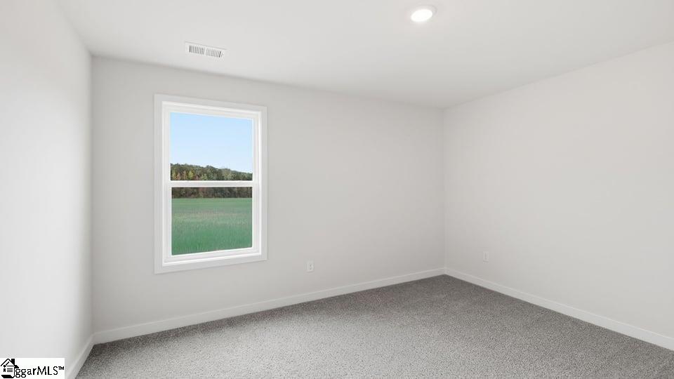 1228 Rarity Street Property Photo 33