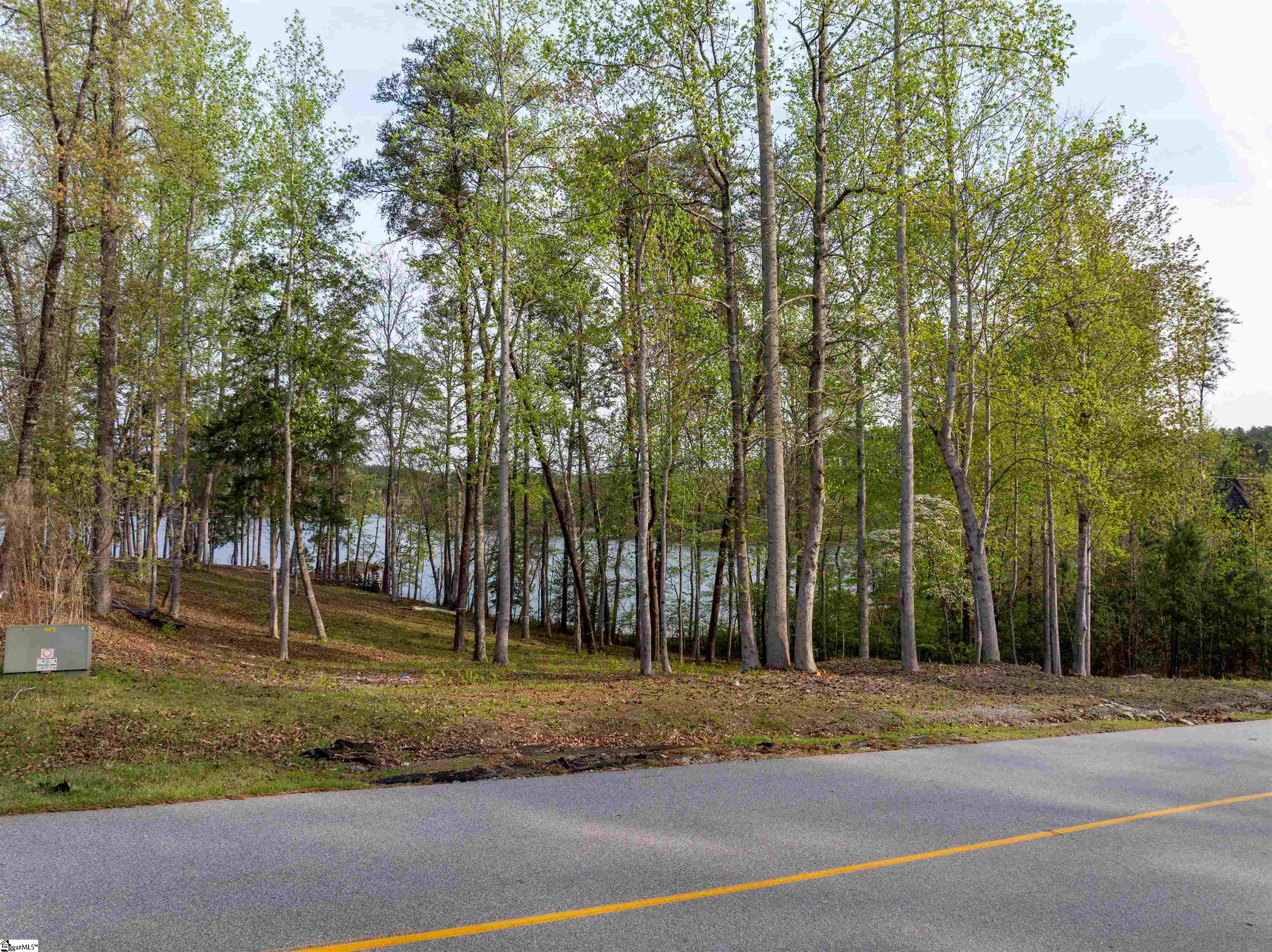 390 Peninsula Ridge Property Photo 27