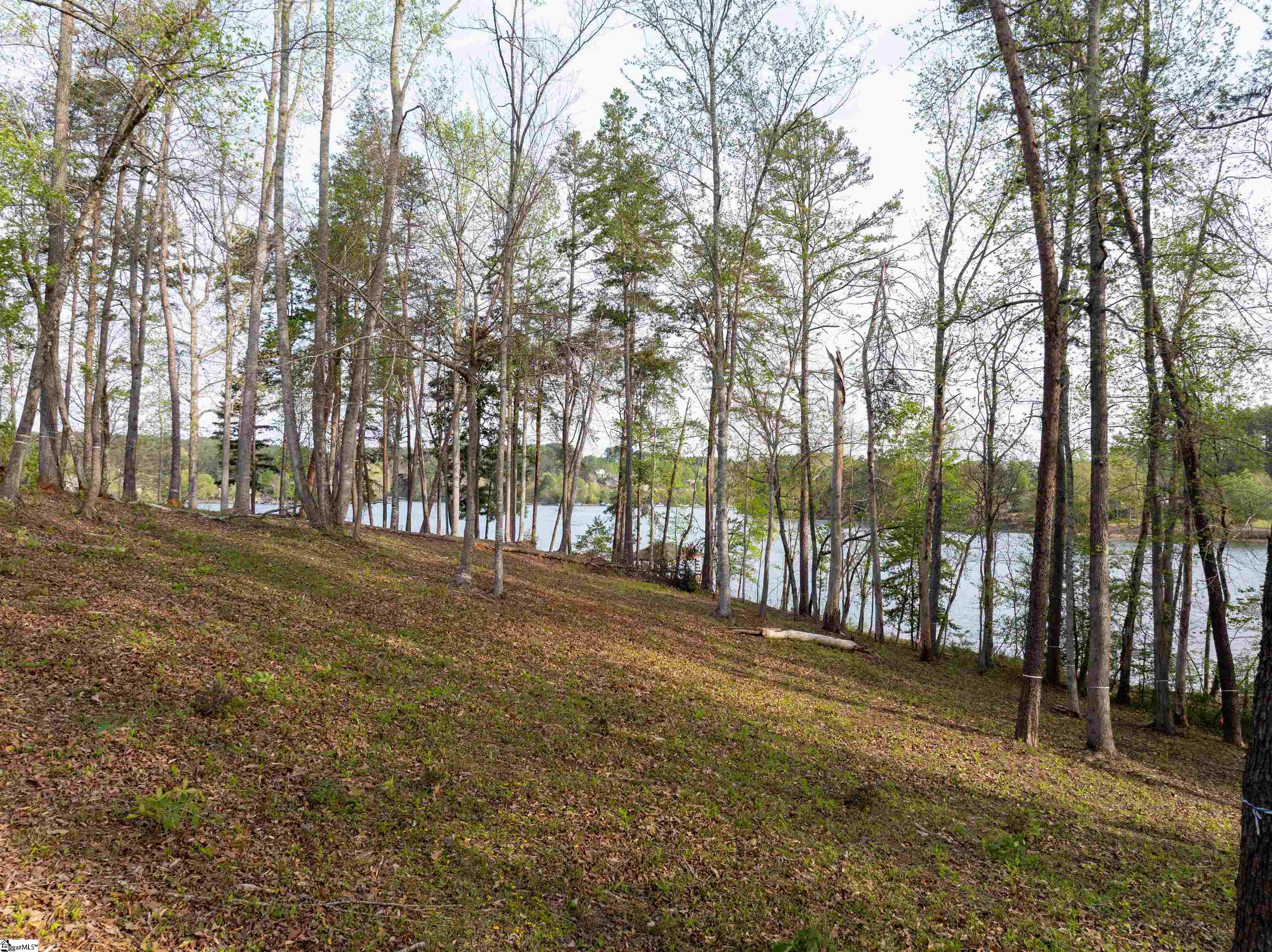 390 Peninsula Ridge Property Photo 29