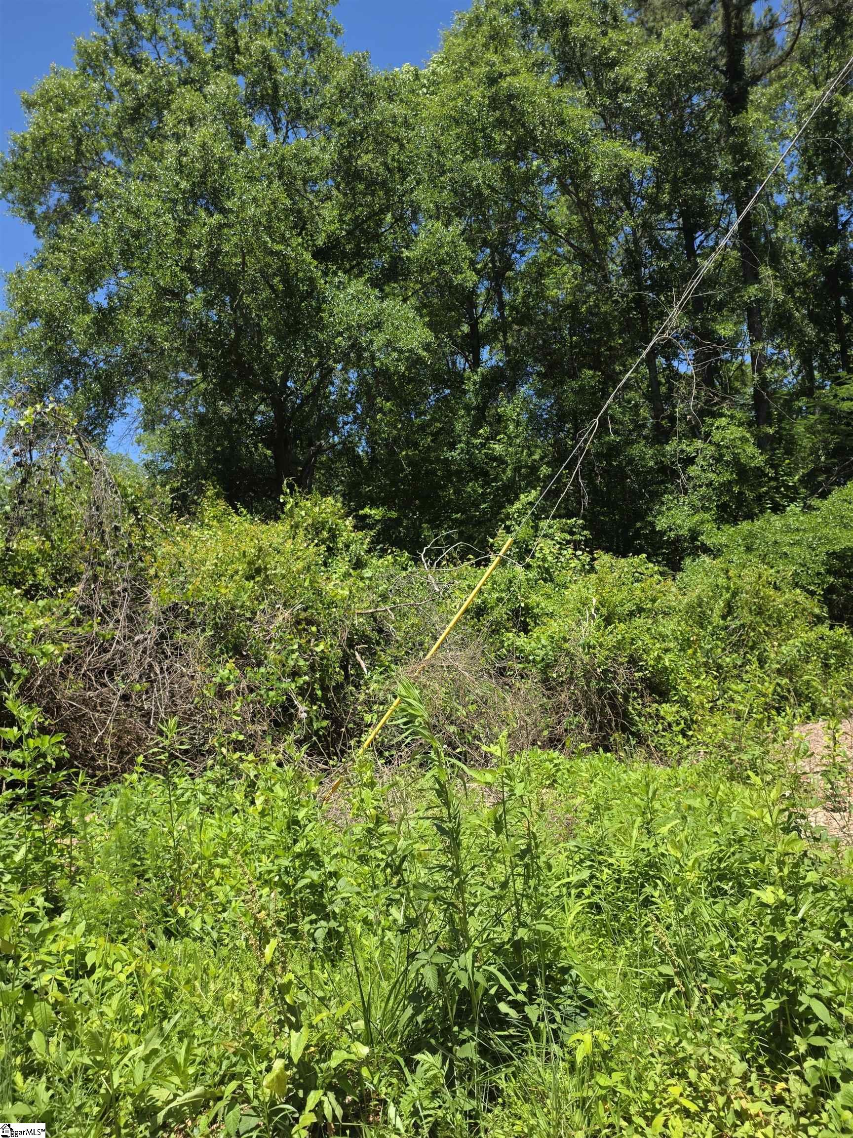 Tree Top Lane Property Photo 1
