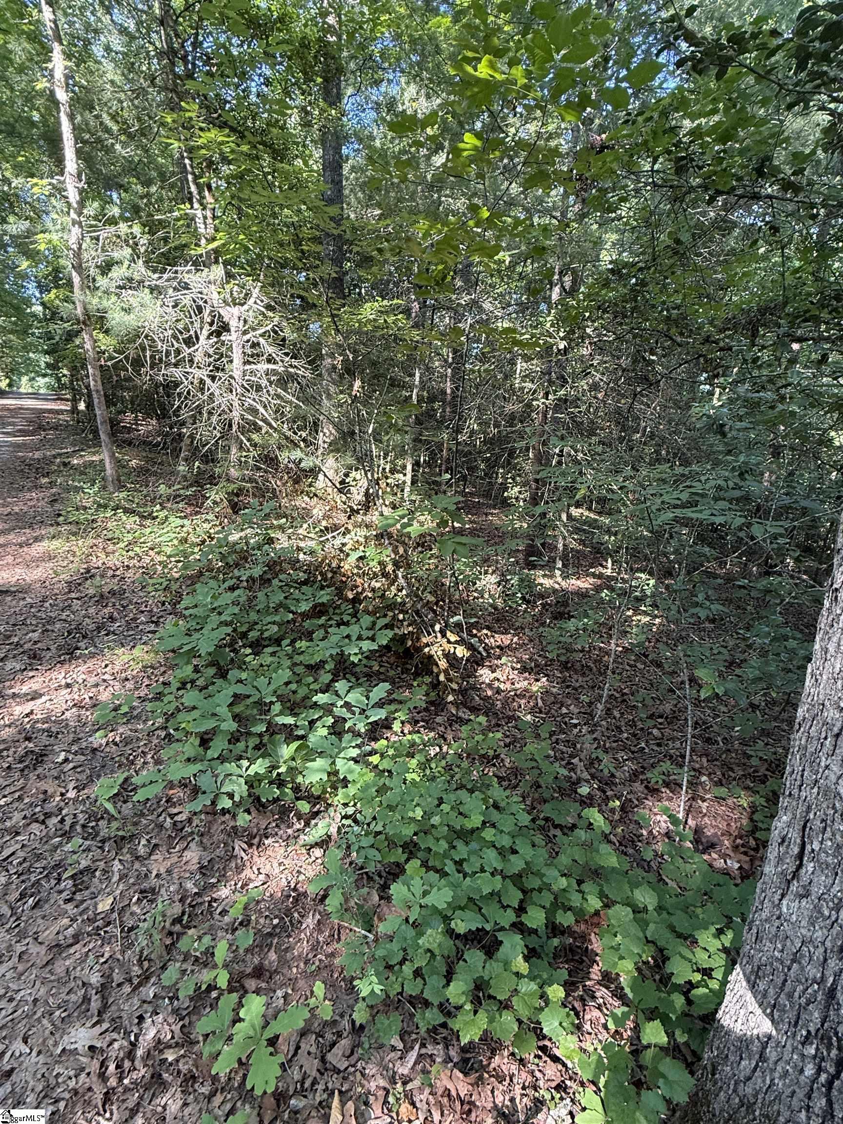00 Keeler Bridge Road Property Photo 13