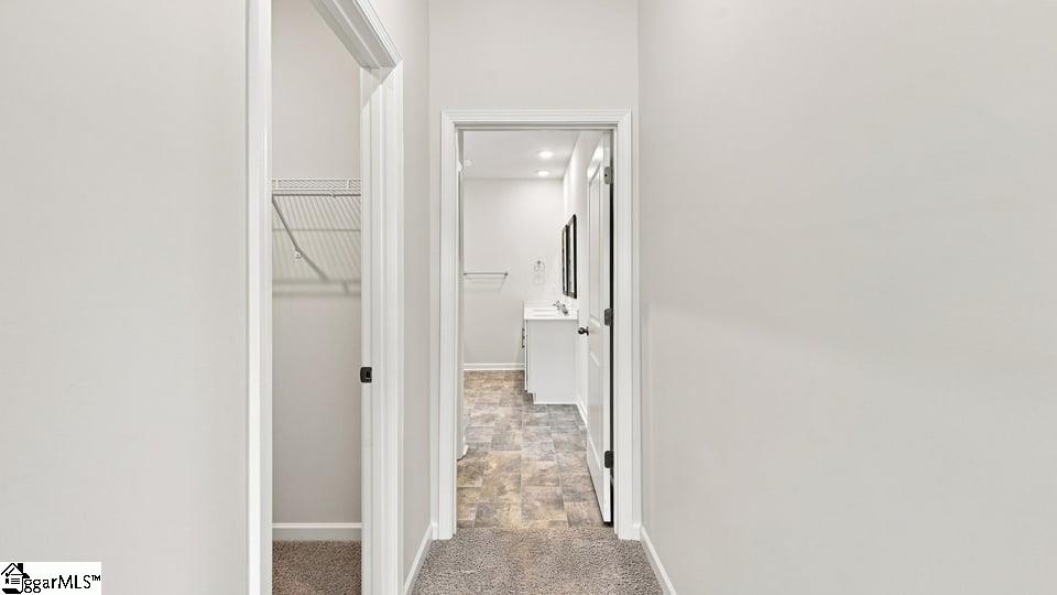 2167 Springview Court Property Photo 28