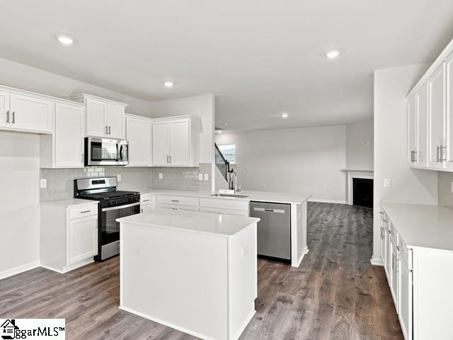 2163 Springview Court Property Photo 14