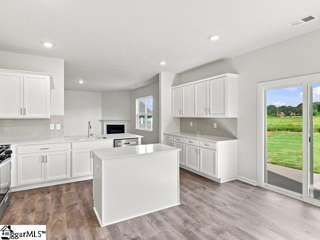2163 Springview Court Property Photo 15