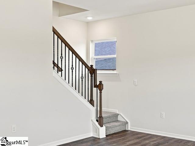 2163 Springview Court Property Photo 19
