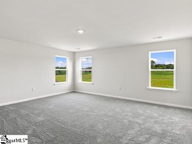 2163 Springview Court Property Photo 29