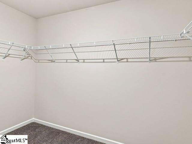 2163 Springview Court Property Photo 34