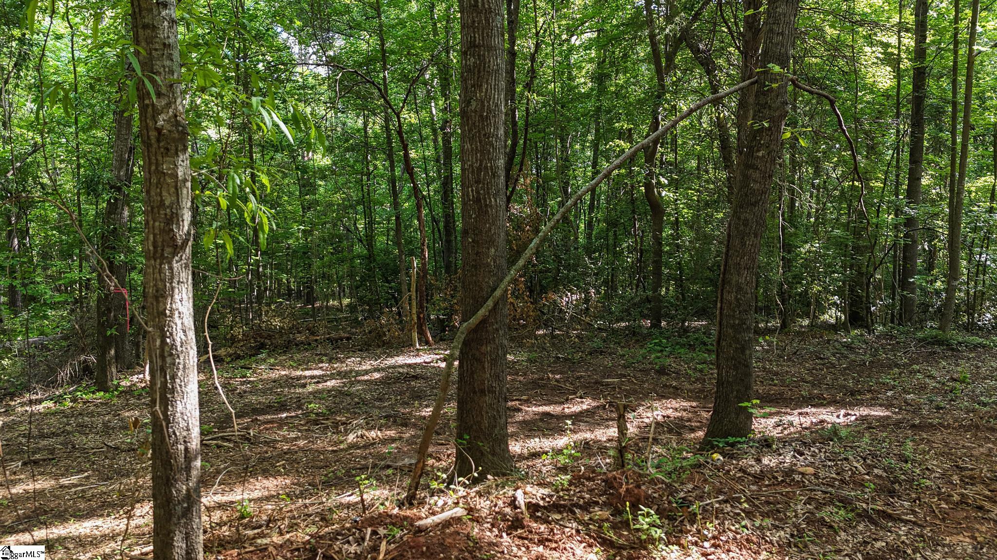 06 Guest Circle Property Photo 3