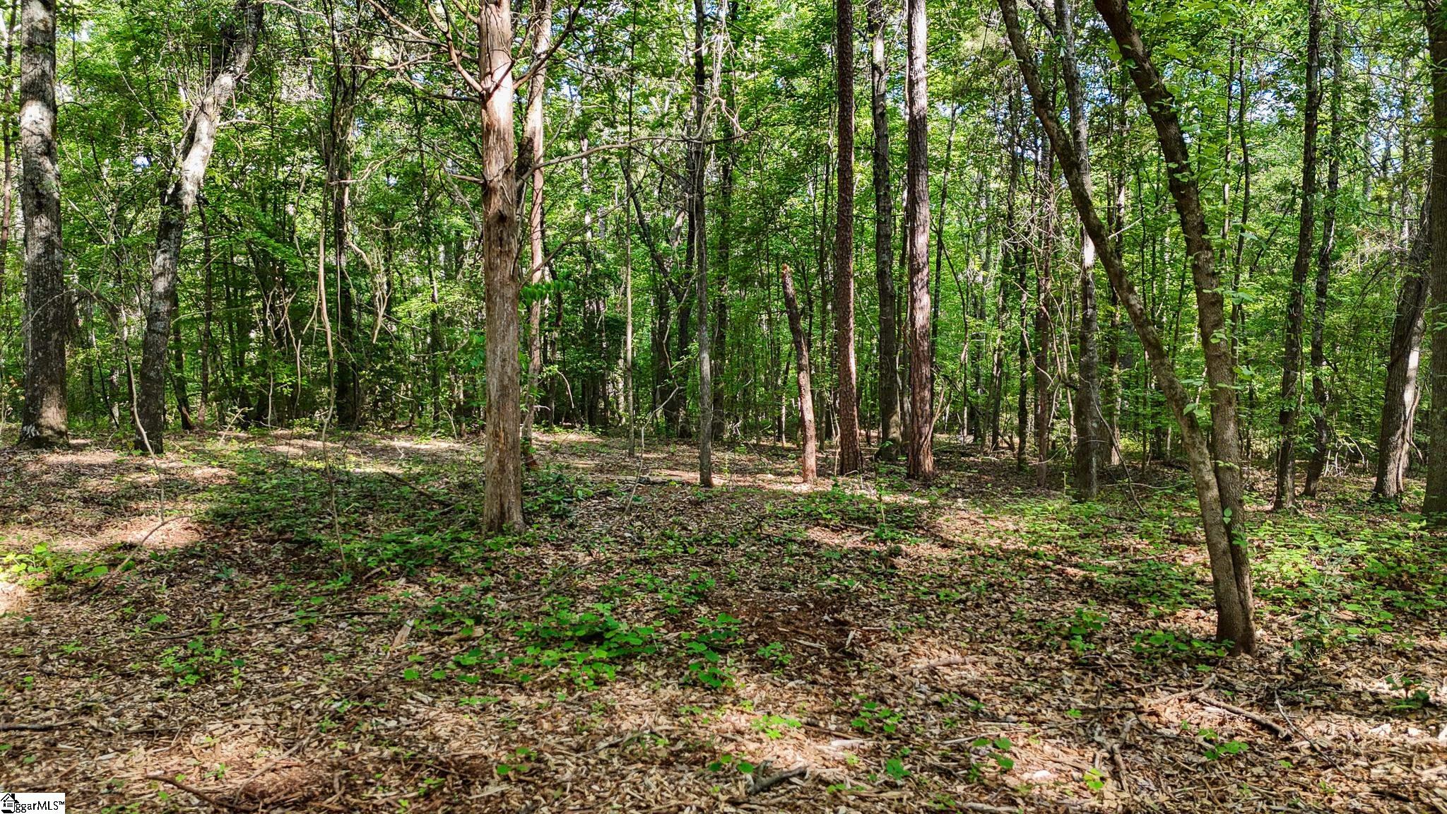 06 Guest Circle Property Photo 4