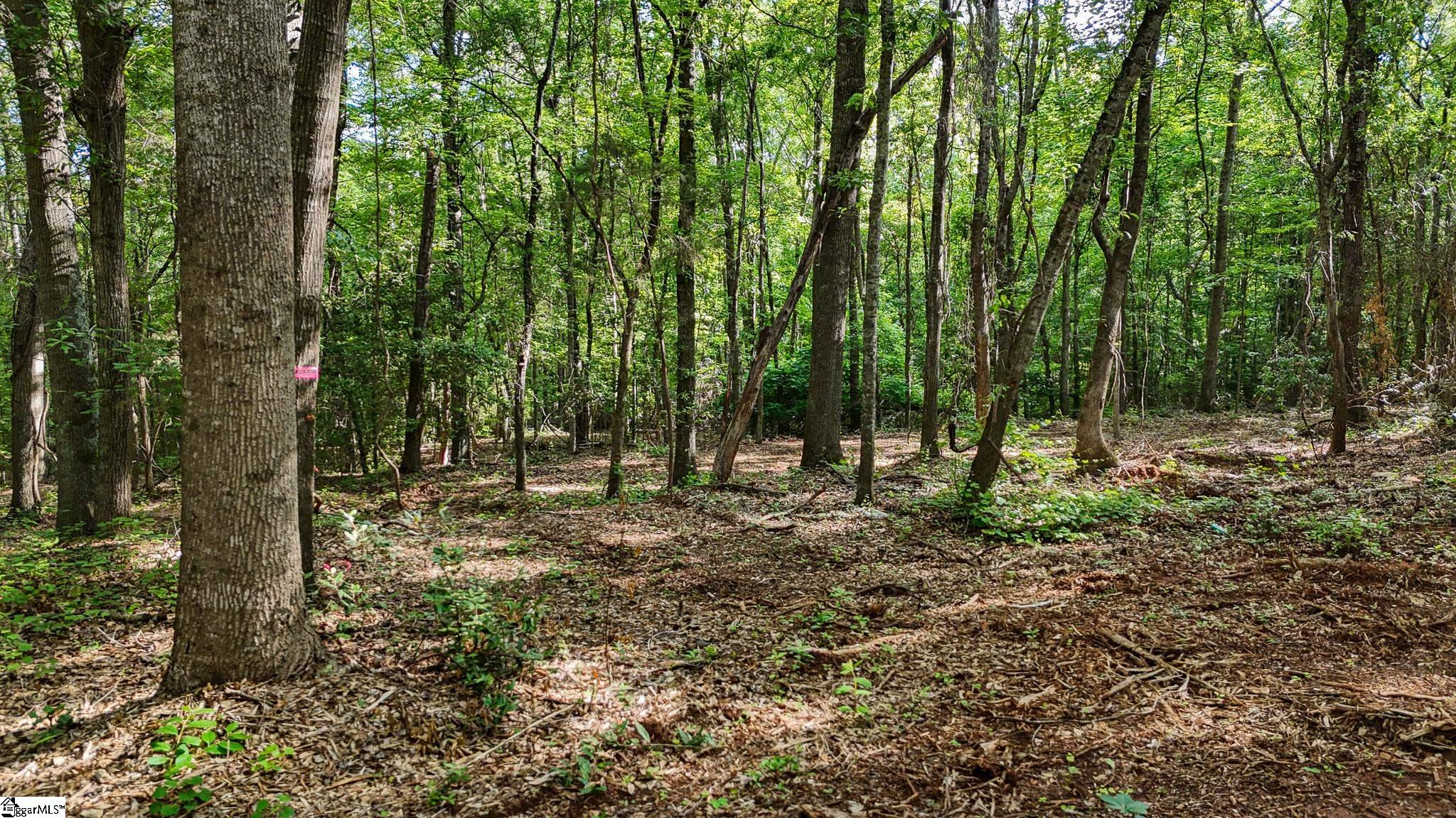 06 Guest Circle Property Photo 6