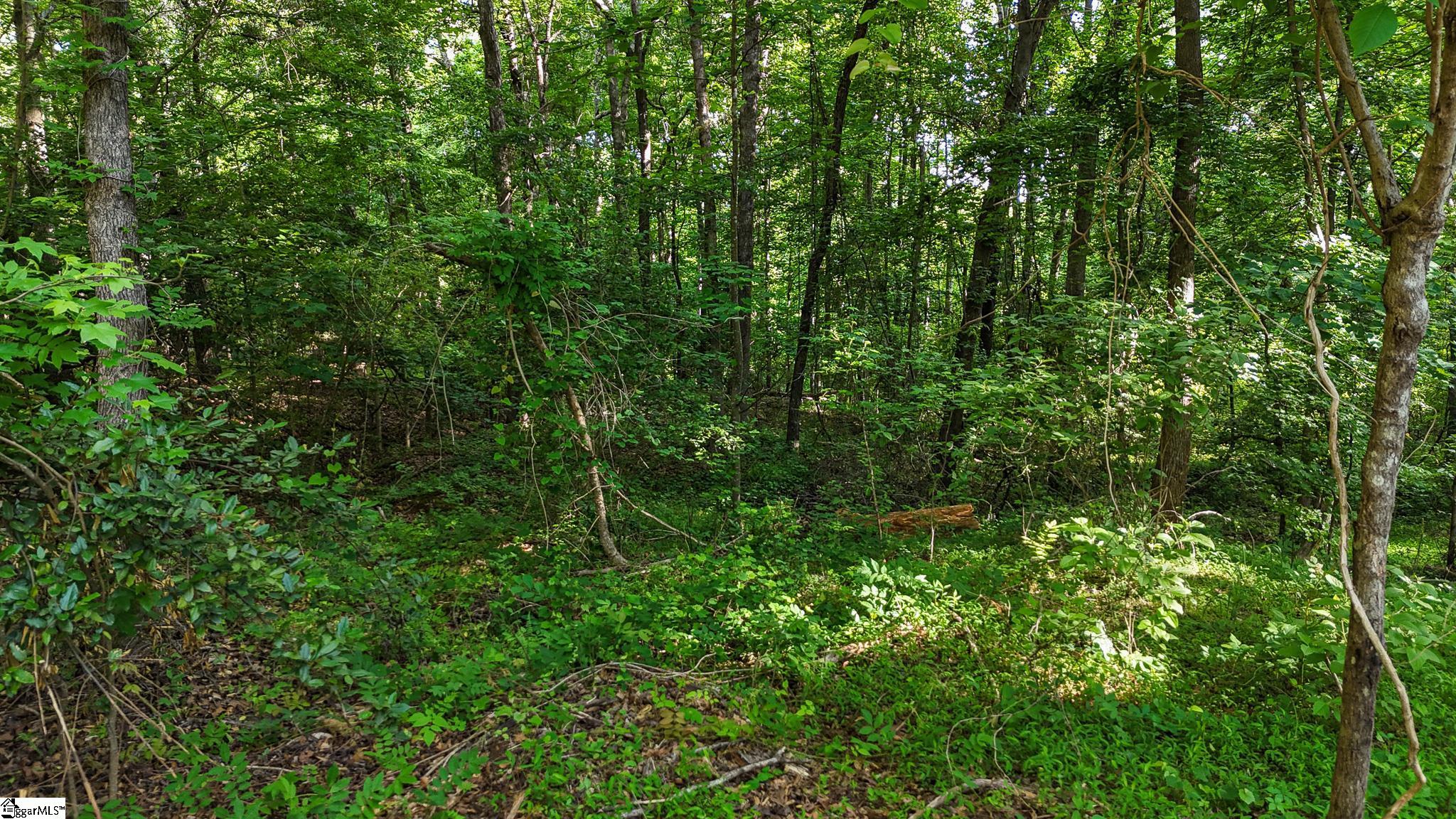 06 Guest Circle Property Photo 11