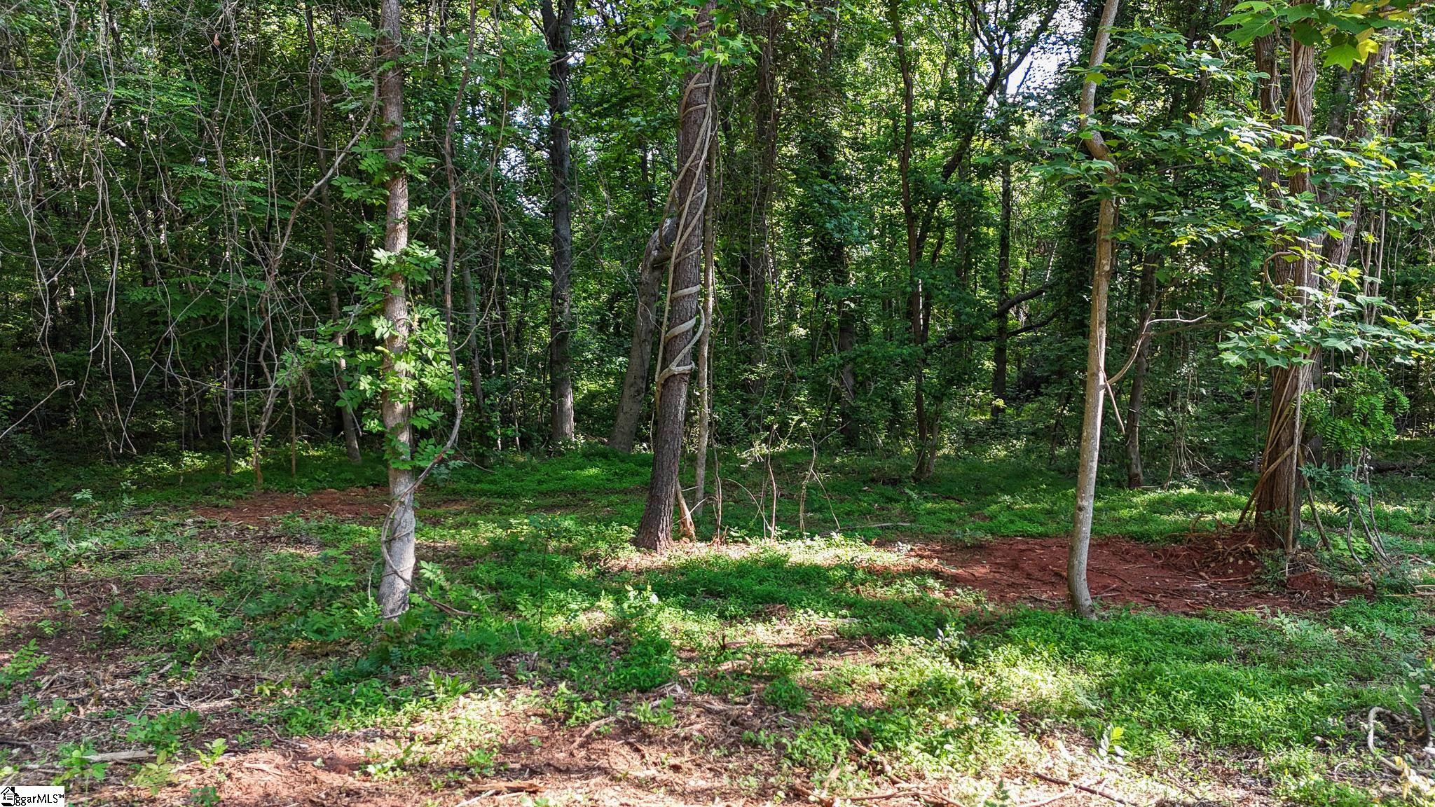 06 Guest Circle Property Photo 14