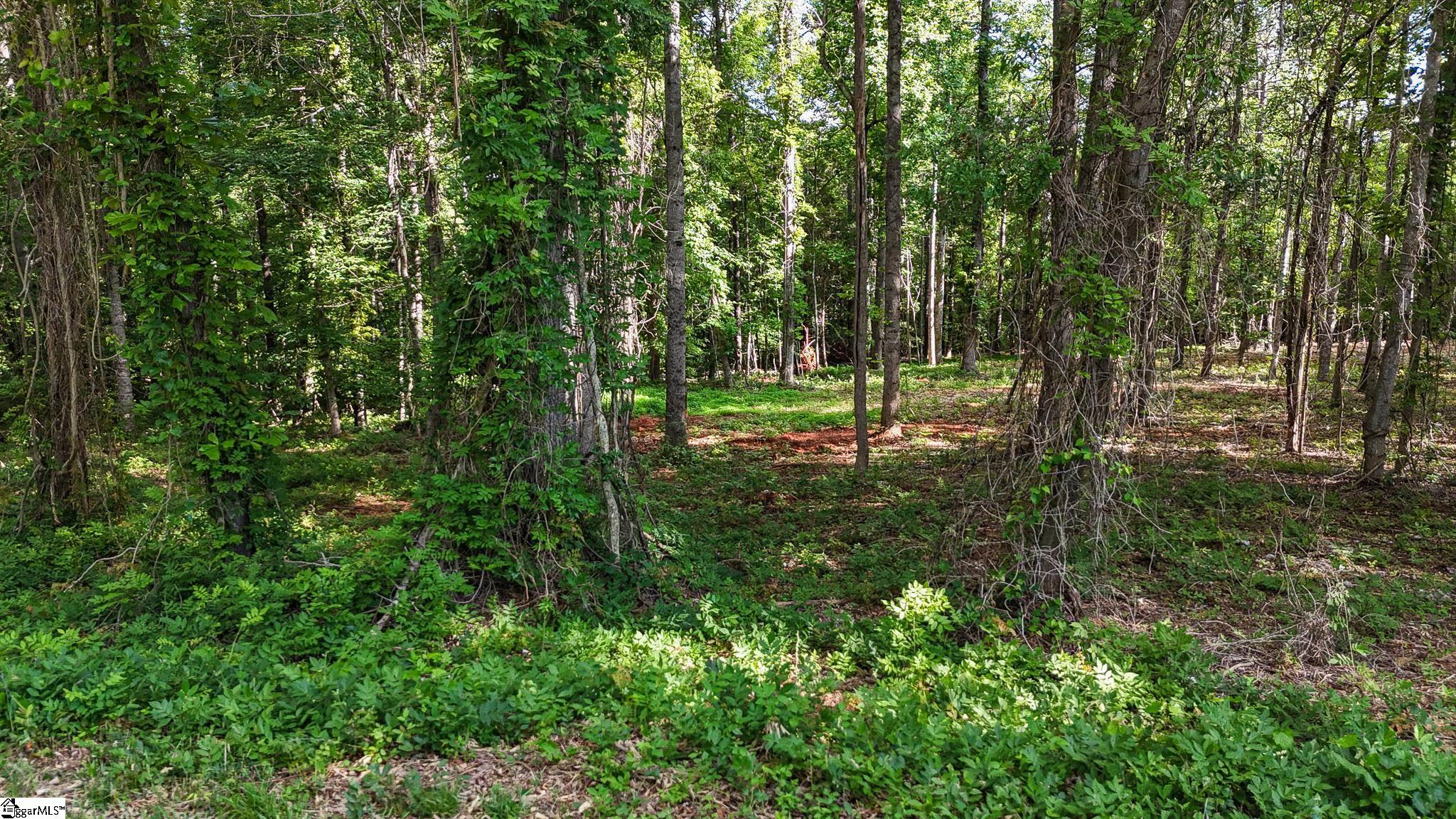 07 Guest Circle Property Photo 7