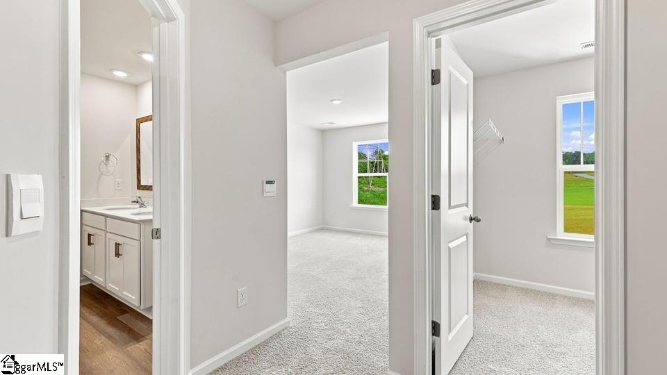 3461 Hunters Brook Drive Property Photo 26