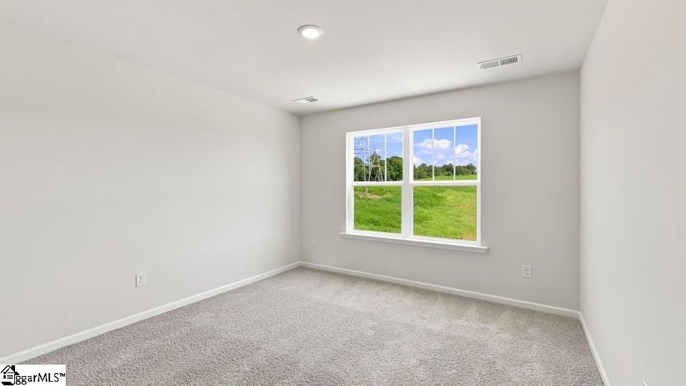 3461 Hunters Brook Drive Property Photo 27