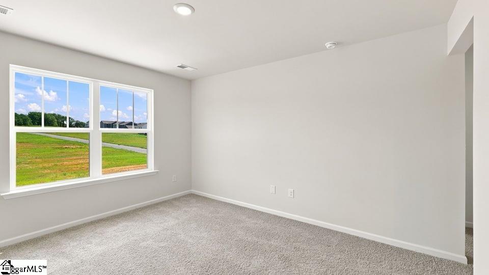 3461 Hunters Brook Drive Property Photo 30