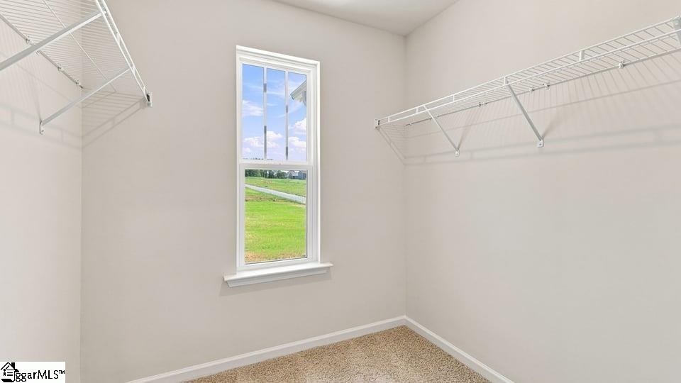 3461 Hunters Brook Drive Property Photo 34