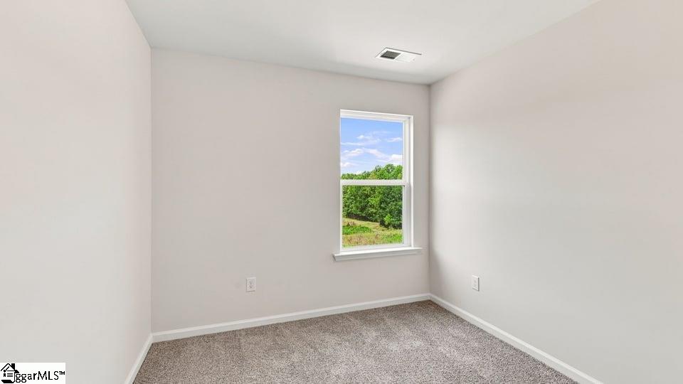 3457 Hunters Brook Drive Property Photo 18