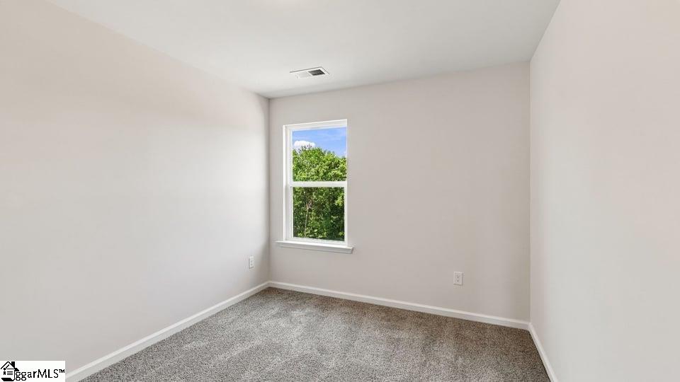 3457 Hunters Brook Drive Property Photo 20