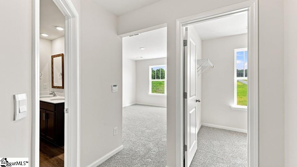 3457 Hunters Brook Drive Property Photo 23