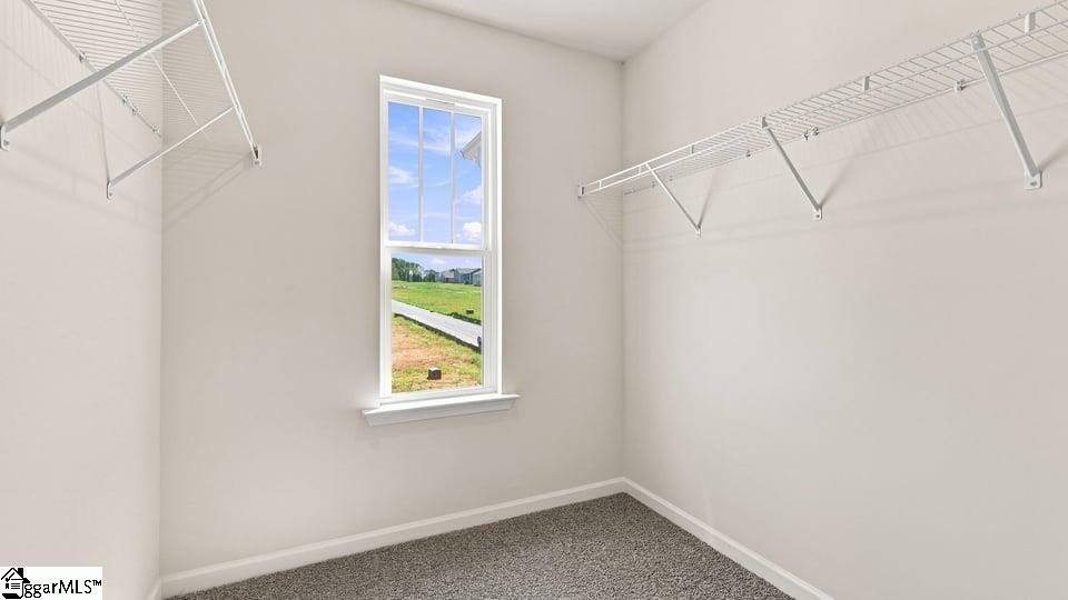 3457 Hunters Brook Drive Property Photo 29