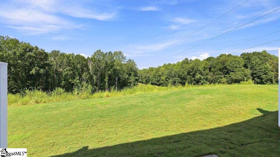 3457 Hunters Brook Drive Property Photo 33