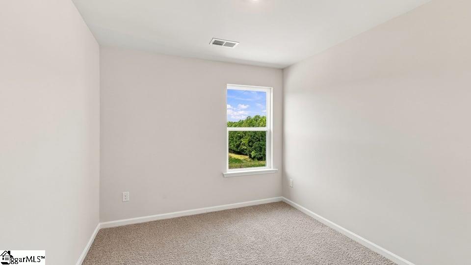 3459 Hunters Brook Drive Property Photo 21