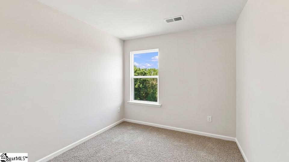 3459 Hunters Brook Drive Property Photo 23