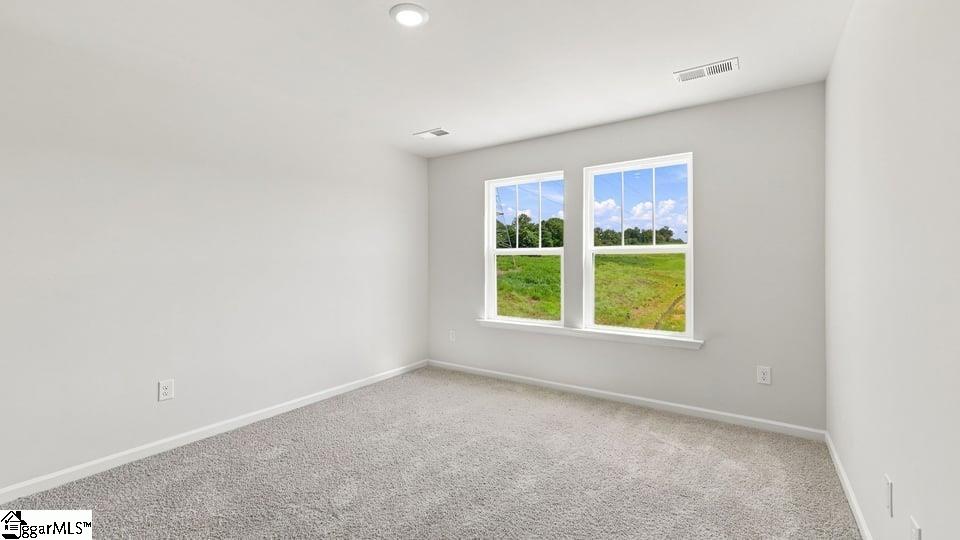 3459 Hunters Brook Drive Property Photo 26