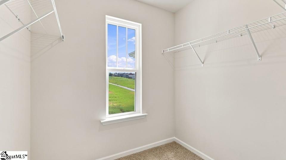 3459 Hunters Brook Drive Property Photo 33