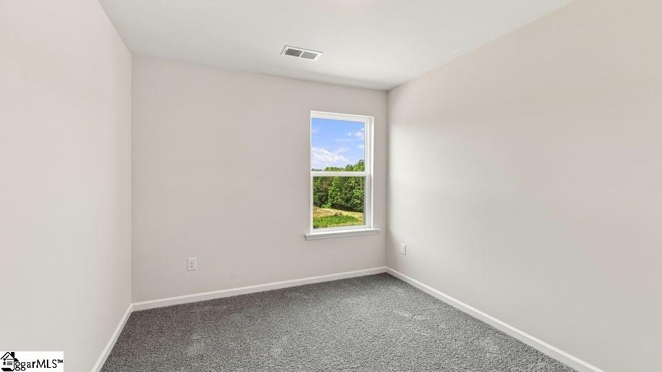 3455 Hunters Brook Drive Property Photo 21