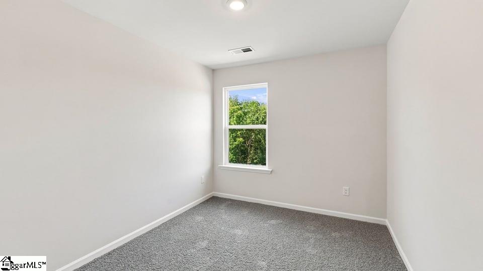 3455 Hunters Brook Drive Property Photo 23