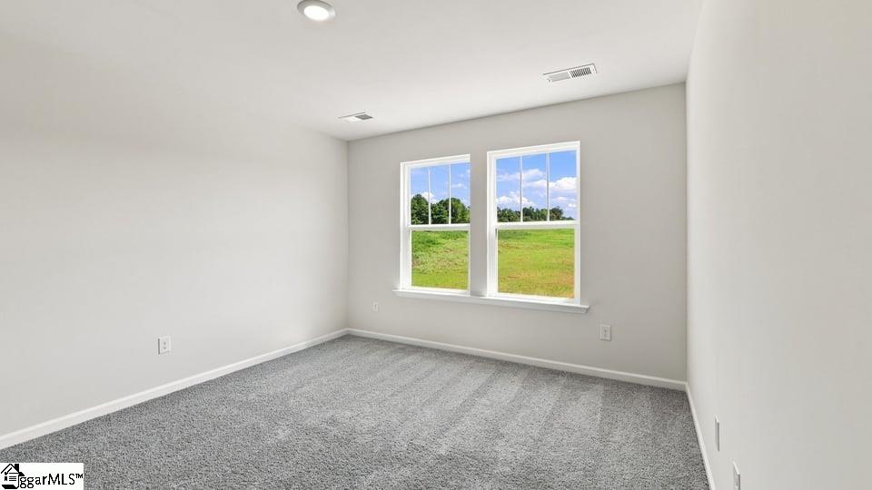3455 Hunters Brook Drive Property Photo 27