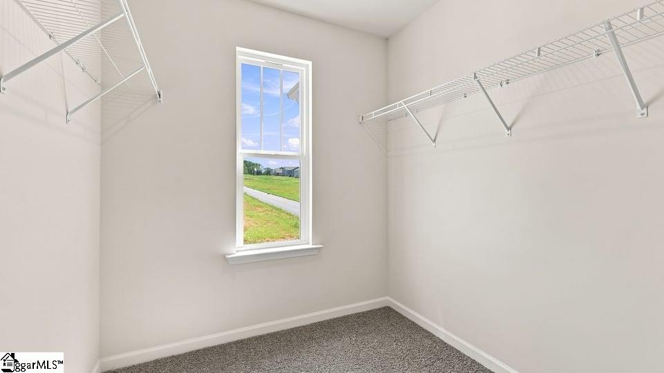 3455 Hunters Brook Drive Property Photo 33