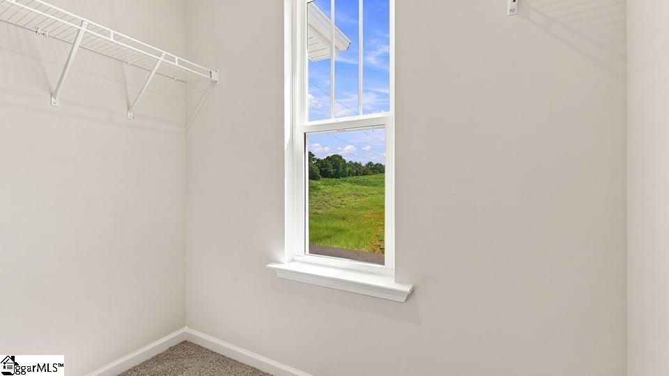 3455 Hunters Brook Drive Property Photo 34
