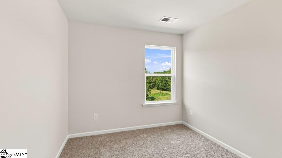 3453 Hunters Brook Drive Property Photo 19