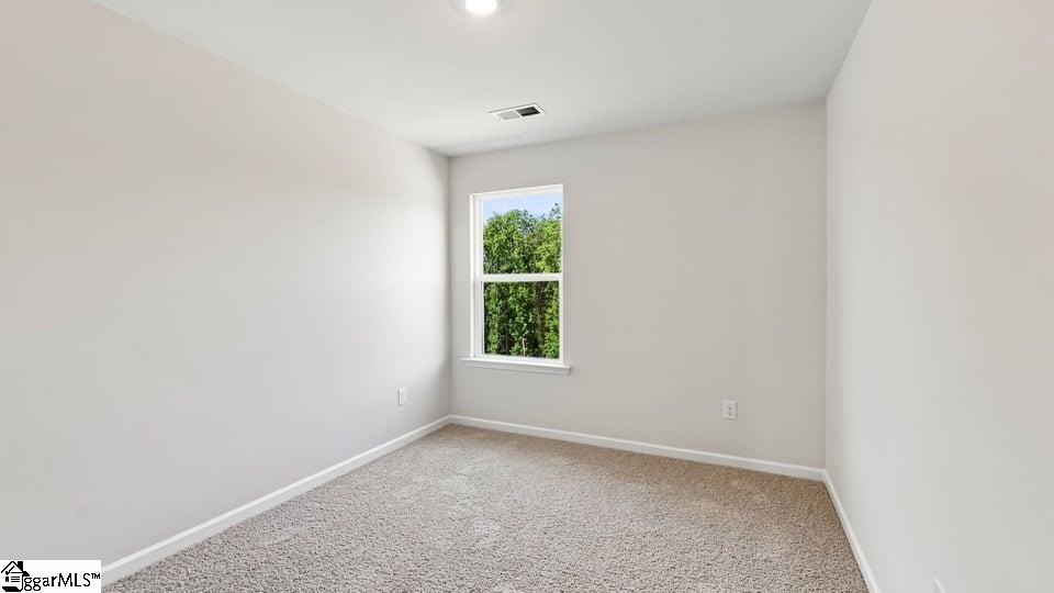 3453 Hunters Brook Drive Property Photo 22