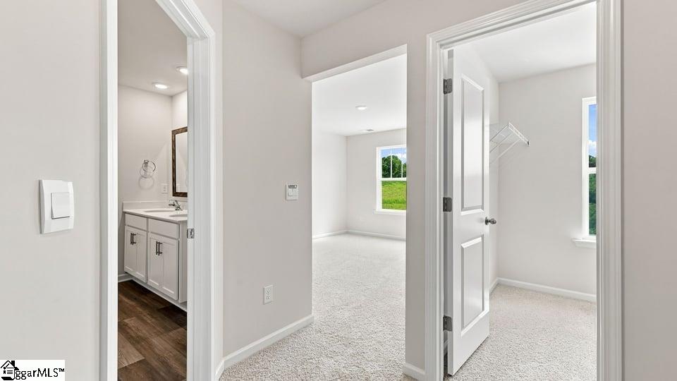 3453 Hunters Brook Drive Property Photo 25
