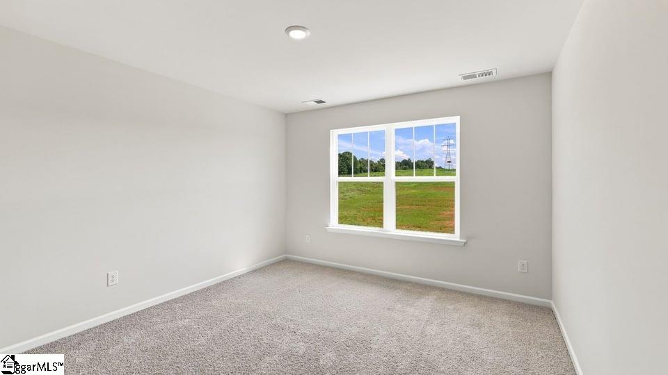 3453 Hunters Brook Drive Property Photo 26