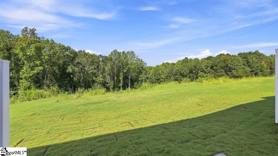 3453 Hunters Brook Drive Property Photo 36