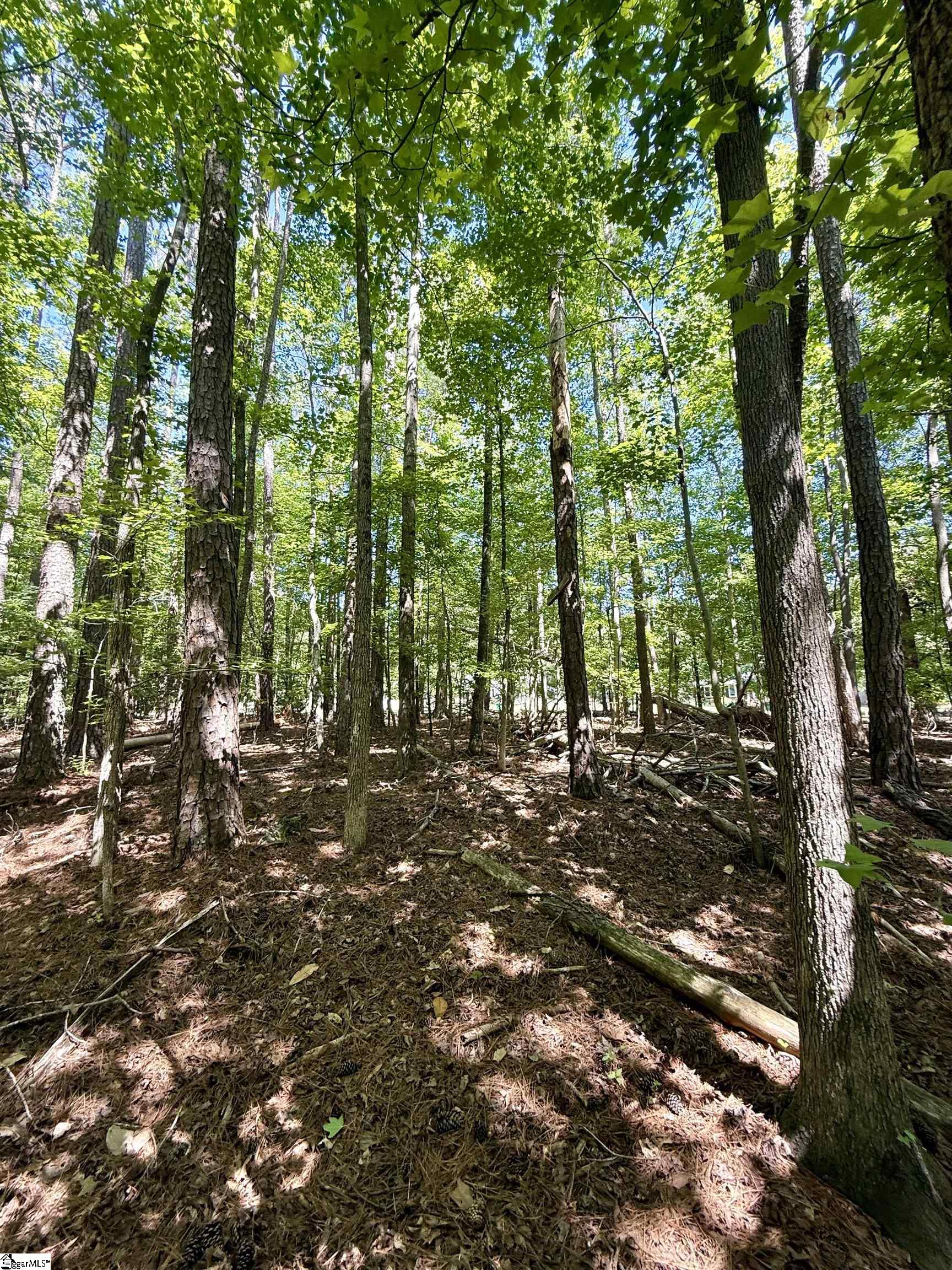 00 Woodwind Drive Property Photo 13