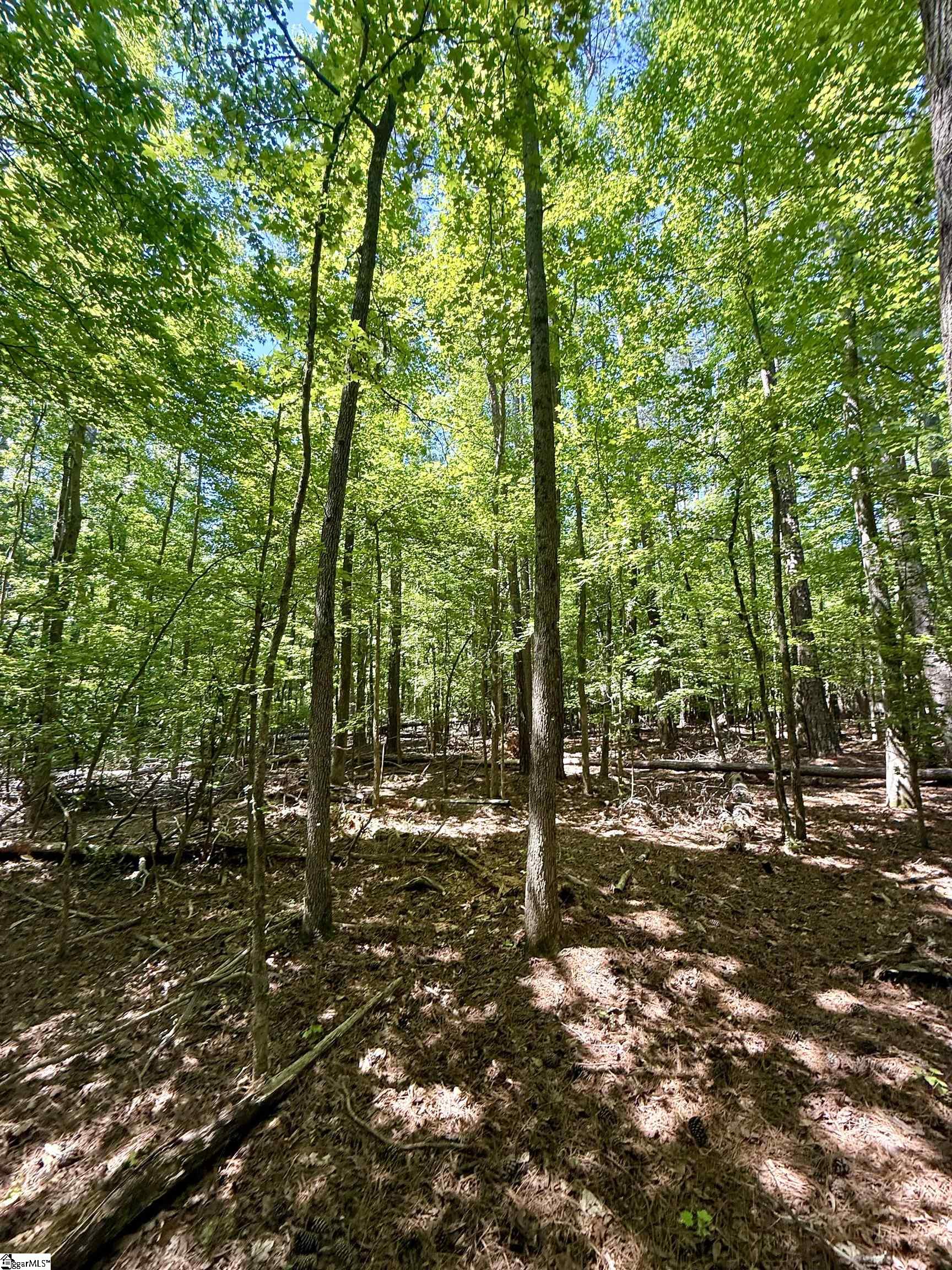 00 Woodwind Drive Property Photo 17