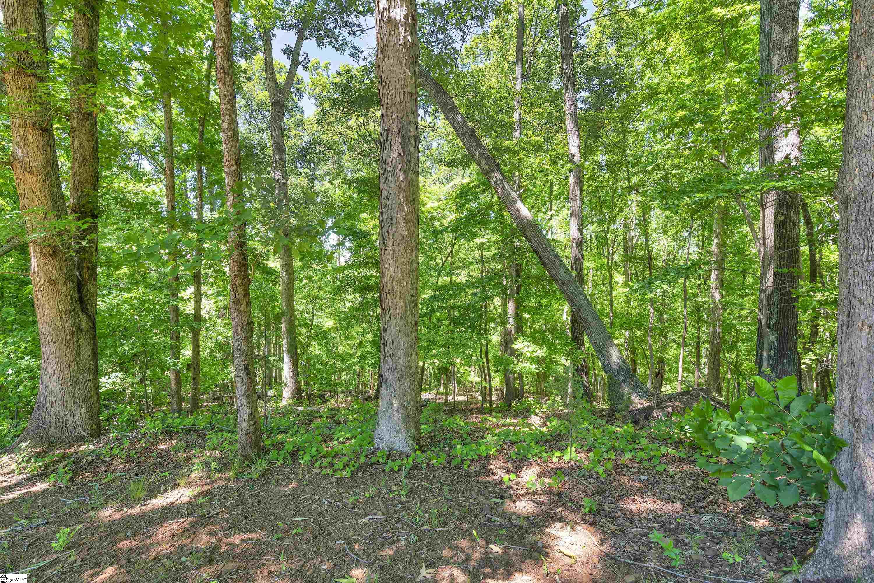 2561 Whitestone Road Property Photo 22