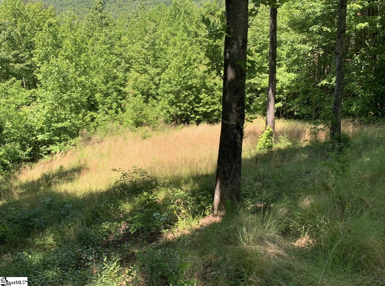1592318 Property Photo 4