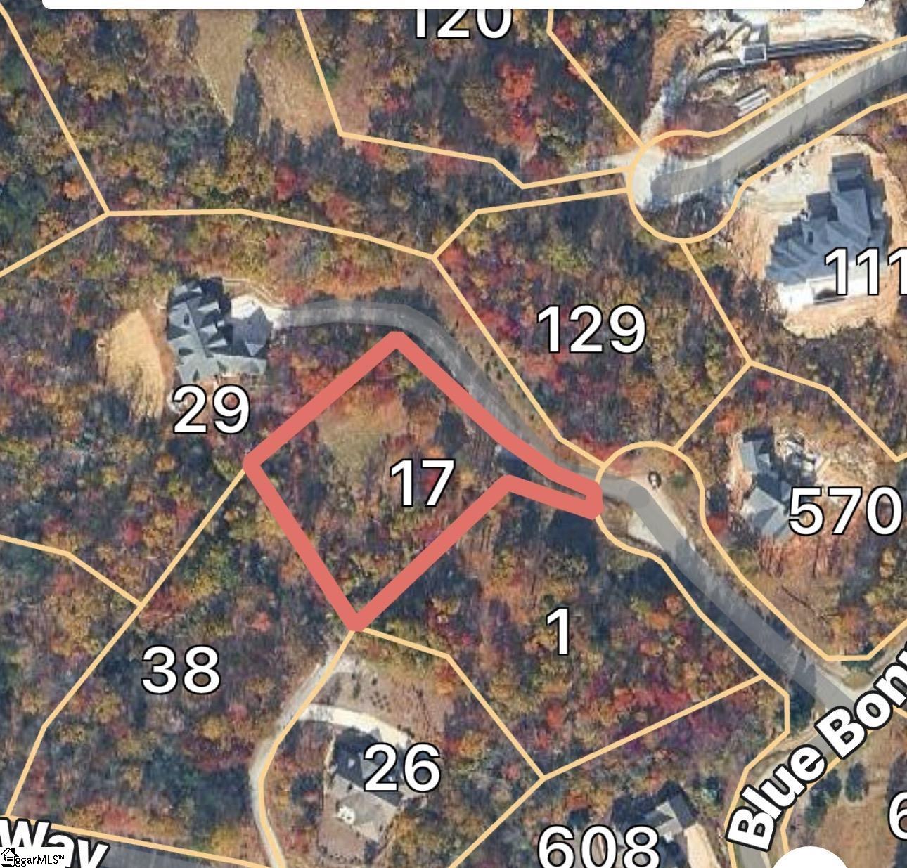 1592318 Property Photo 6