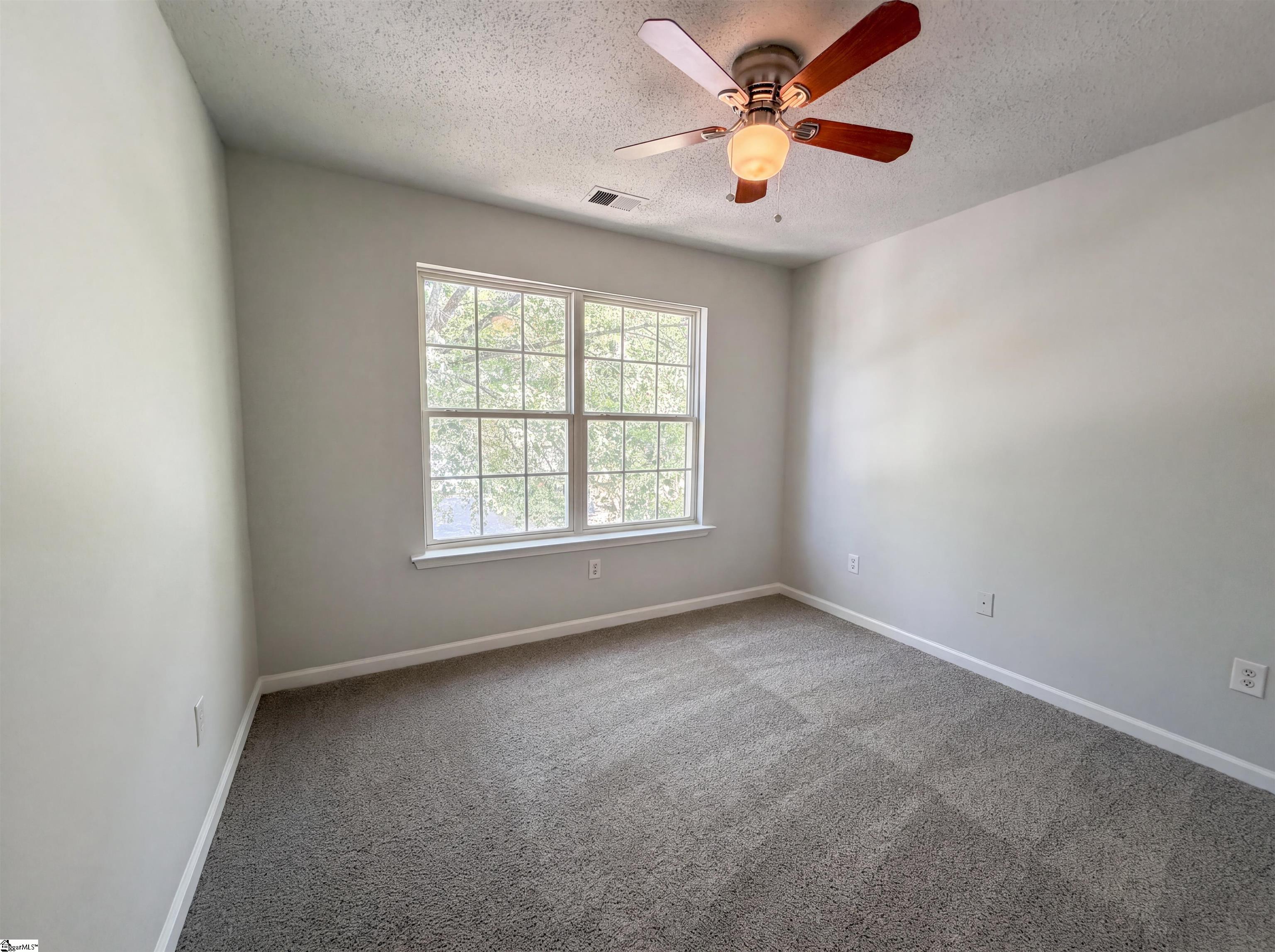 9 Bluff Ridge Court Property Photo 13