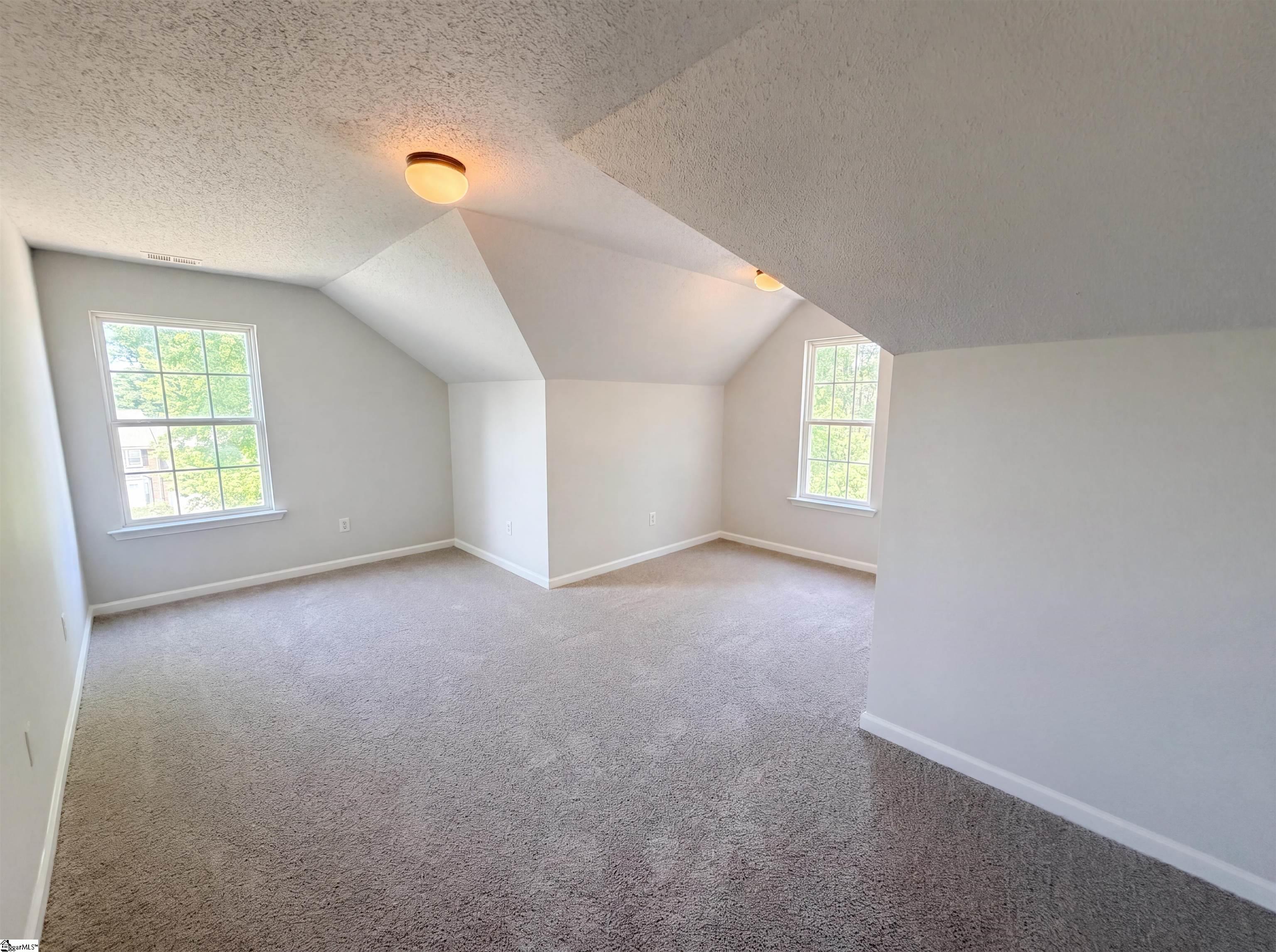 9 Bluff Ridge Court Property Photo 18