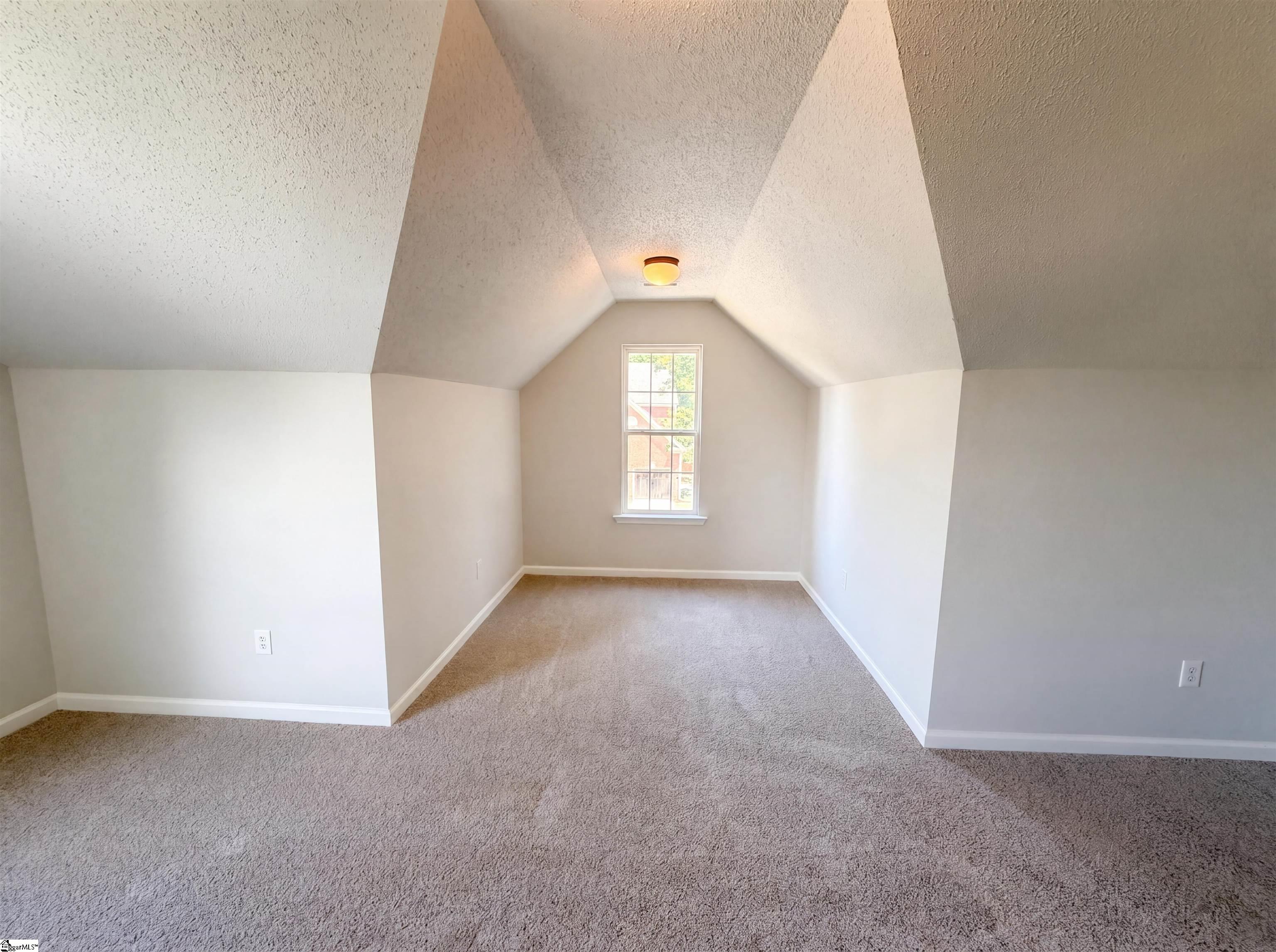 9 Bluff Ridge Court Property Photo 23